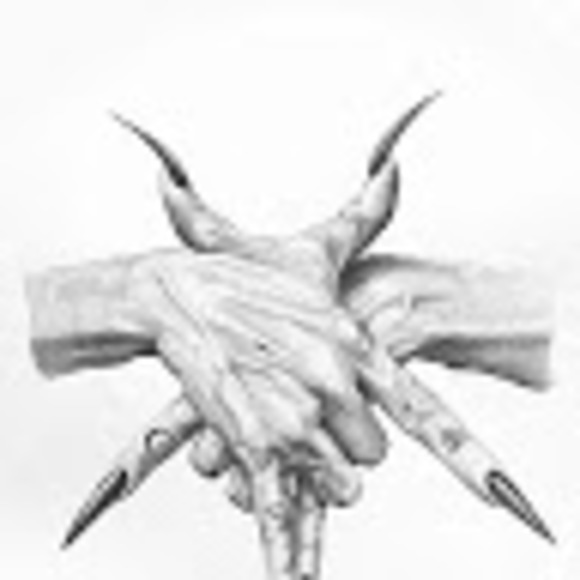 Meet your Posher, Travis - Picture 1 of 1